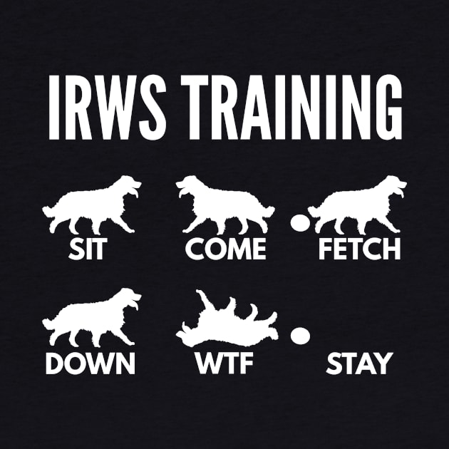 IWRS Training Irish Red and White Setter Tricks by DoggyStyles